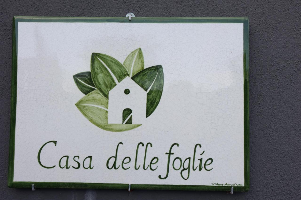 Casa Delle Foglie Villa San Giovanni La Punta Luaran gambar